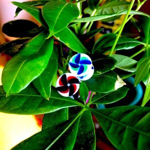 Glass Ear Plug Earrings